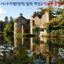 티와이 이미지