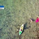 세솔팬션 이미지