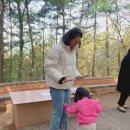 우장산근린공원 | 우장산근린공원 힐링체험센터 후기 황톳길 체험!