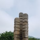 장미공원 이미지