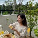 안녕 조수리 이미지