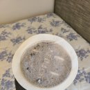 유현로 | 김포 매트리스 청소 클린위크 후기 전후 차이 확실했던 이유