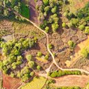 돌리네습지주차장 이미지