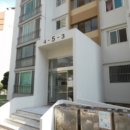 동문동538 이미지