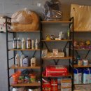 젤리즈펫 이미지