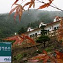 더풀하우스 이미지