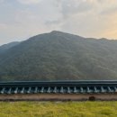 5월 감꽃 10월 홍시 이미지