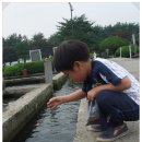 [2010-06-19] 임진강폭포어장에서 쏠캠으로 악프로님에게 빈대붙기 신공으로 잘 놀았네.