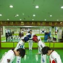 용인대석사 대하 태권도 이미지