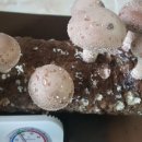 다부빌딩 이미지