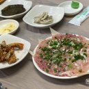 용세프민물나라