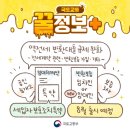 [국토교통 꿀정보+] 역전세 문제 해소! 역전세 반환대출 규제완화 3편 이미지