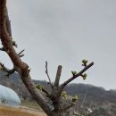 운마농장 이미지