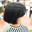 햄살롱 네이버블로그