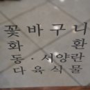옥이네다육