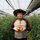 초월농장(2) 이미지