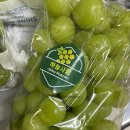 하늘사랑농원 이미지