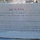 안인23