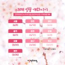 봄이 왔나 봄 이미지