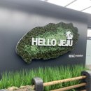천지연랜드 | 제주도 2박 3일 가족여행 일정 추천 및 후기