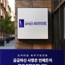 세무법인비라이트