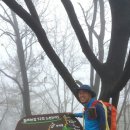 금병산 누리길 이미지