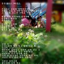 반딧불이유치원 이미지