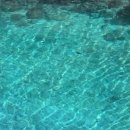 호텔자바(HOTEL ZAVA) | 환율 미친 시기에 4인 가족 괌 여행(매우 만족)