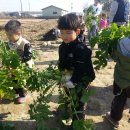 송죽농장 이미지