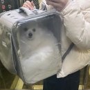 시온동물병원 이미지