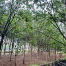 상계역 2번출구 이미지