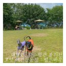 발트바우(WALD BOW) | [일산/고양] 신상 강아지 운동장! 소형견 대형견 분리된 : 발트바우 애견운동장