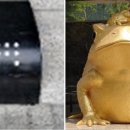 거북빌딩 이미지