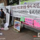 이천시청 앞 이미지
