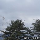 백로농장 Daum카페