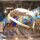 땅끝해양자연사박물관 이미지