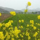 오수리농장 이미지