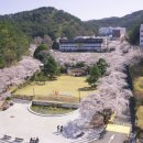 영산대학교 해운대캠퍼스 이미지