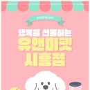결혼천사 | 💙 송파랙돌분양 후기 – 우리 집 첫 고양이, 천사 같은 랙돌이 왔어요