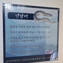 포항초장 | 포항물회집 포항영일대바다장어 후기 | 포항바다뷰맛집에서 고추장과 육수가 잘 배합된 물회를 맛보다