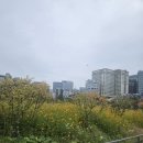 종로-연건-종로-연-553 | 종로구 보일러 설치, 경동나비엔 일반보일러 교체