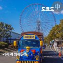 일자산자연공원(잔디광장옆) | 도쿄 디즈니랜드 근처 가볼만한곳 가사이 임해공원 린카이공원 대관람차