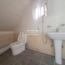 사파동283 이미지