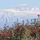 지킴메디 이미지