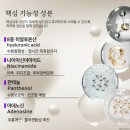 브이셀 | 보습진정, 항산화에 도움을 주는 노엘리스 셀 브이 리셋 앰플 3일차 리얼후기