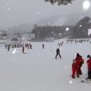 용평리조트 이미지