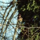 생생농장 이미지