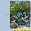 씨 스테이 앤 이미지