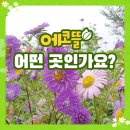 에코뜰 이미지