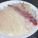 코모도 모텔 이미지